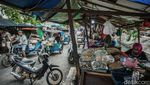 Kala Mobet Menolak Punah