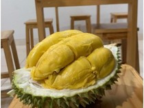 Harga Durian Musang King Anjlok! Kini Cuma Rp 40 Ribu Sekilo