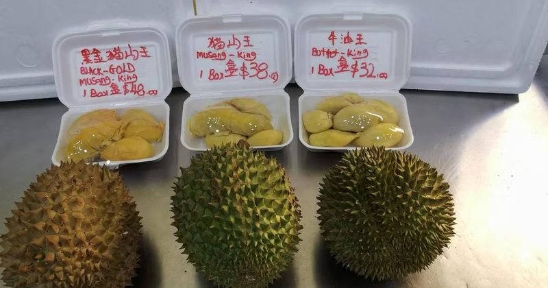 Musim Durian Berakhir, Bermunculan Musang King Palsu
