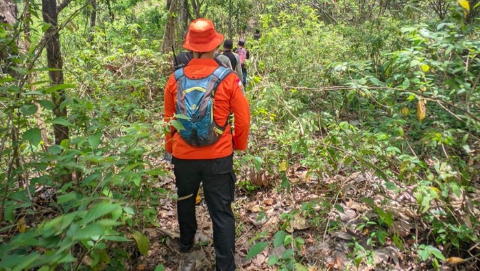 Pencarian orang hilang di hutan Cirebon