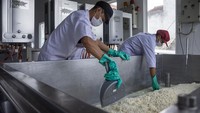 Rumah produksi keju mozarella tersebut dalam sehari mampu memproduksi 120 kilogram keju mozarella dari bahan baku 1.200 liter susu. 
