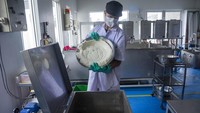 Keju tersebut dijual Rp 45 ribu per 200 gram dan dipasarkan ke swalayan di Jabodetabek, Jawa Tengah, Jawa Timur dan Bali. 