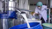 Pekerja menyelesaikan produksi keju mozarella artisan di rumah produksi Ganesha Sora, Lembang, Kabupaten Bandung Barat, Jawa Barat, Rabu (9/10/2024). 