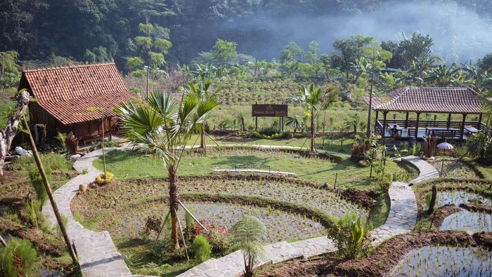 Restoran Sawah Segar 2 di Sentul, Bogor.
