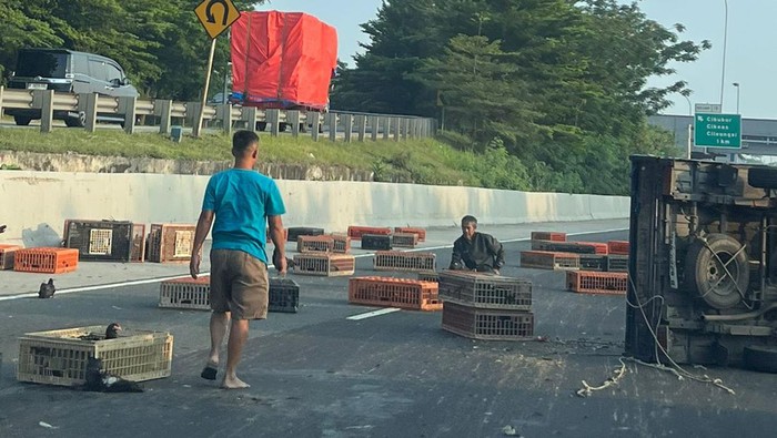 Truk bermuatan ayam terbalik di Km 16 Tol Jagorawi arah Jakarta. Lalu lintas mengalami kepadatan (dok istimewa)
