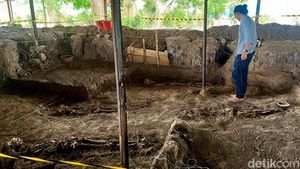 5 Kerangka Manusia Ditemukan saat Ekskavasi Istana Bhre Wengker di Mojokerto