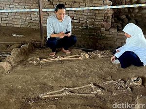 Unair Identifikasi Profil Biologis 5 Kerangka dari Istana Bhre Wengker