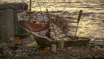 Aktivitas Warga Pesisir Pantai Haiti di Tengah Kekerasan Geng