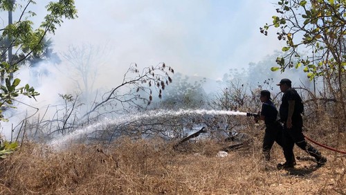 Damkartan Karangasem saat melakukan penanganan kebakaran lahan mangga dan mete di Kecamatan Kubu, Kabupaten Karangasem, Jumat (11/10/2024). (dok. Damkartan Karangasem)