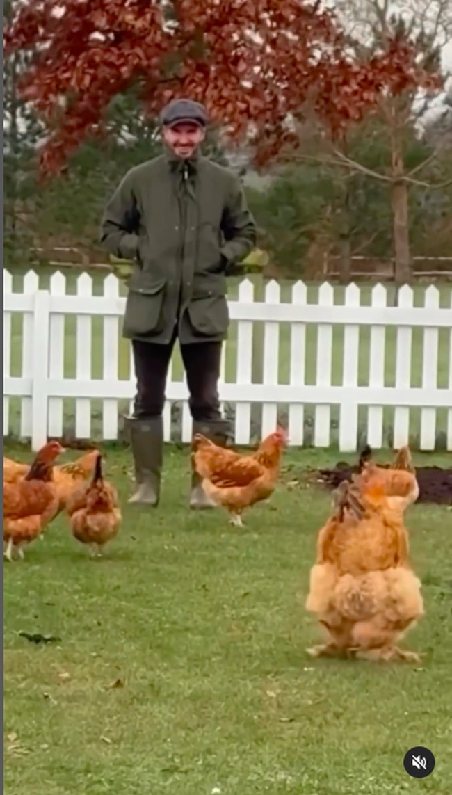 Tak hanya fans, sang istri sendiri tampaknya cukup terkejut dengan hobi baru David Beckham. Di kolom komentar, Victoria menulis, “Siapa pria ini? Aku ingin suamiku kembali,” Foto: Instagram