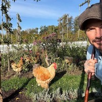 David Beckham sering mendokumentasikan kehidupannya setelah tak lagi jadi pemain bola profesional. Mantan bintang Manchester United tersebut kini tinggal di desa selagi sibuk berkebun dan berternak. Foto: Instagram