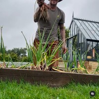 Begini potret bahagia David Beckham saat memamerkan daun bawang yang dipanennya. “Daun-daun bawang ini bagus. Tidak buruk untuk percobaan pertamaku,” katanya dalam video saat memetik tanaman itu selagi diganggu ayam peliharaannya. Foto: Instagram