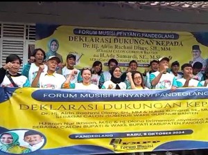 Musisi Lokal Pandeglang Dukung Airin-Ade di Pilkada Banten, Ini Alasannya