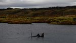 Menyelami Keindahan Silfra Fissure di Taman Nasional Islandia
