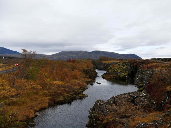 Menyelami Keindahan Silfra Fissure di Taman Nasional Islandia