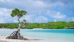 Pulau Rote Begitu Indah, Latar Film Wakil Indonesia di Oscar 2025