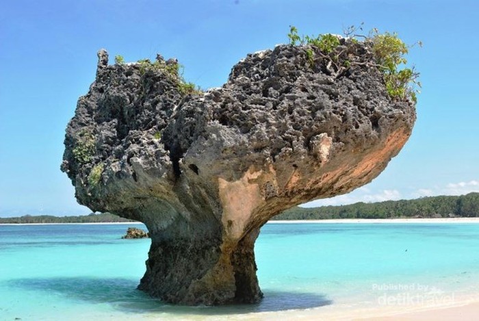 Pantai Oesosole Pantai Oesosole