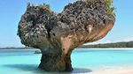 Pulau Rote Begitu Indah, Latar Film Wakil Indonesia di Oscar 2025
