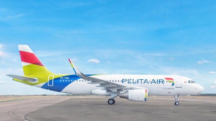 Pesawat Pelita Air