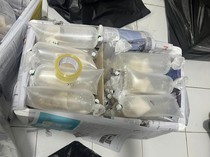 Gudang Penampungan Benih Lobster di Lampung Digerebek Polisi, 14 Orang Diamankan