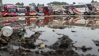 Sejumlah bus terparkir di Terminal Bubulak di Kota Bogor, Jawa Barat, yang tergenang air, Jumat (11/10/2024).