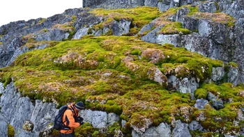 Para ilmuwan menggunakan citra dan data satelit untuk menganalisis tingkat vegetasi di Semenanjung Antartika, rangkaian pegunungan panjang yang mengarah ke utara hingga ujung Amerika Selatan, dan yang telah menghangat jauh lebih cepat daripada rata-rata global. Foto: Dan Charman via CNN