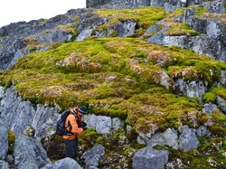 Suhu Panas Ekstrem Sebabkan Antartika Menghijau