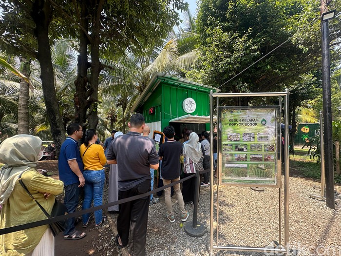 Slurpp! Menikmati Es Kopyor di Tengah Kebun Asri Kopyor Bogor Slurpp! Menikmati Es Kopyor di Tengah Kebun Asri Kopyor Bogor