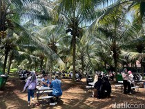 Slurpp! Menikmati Es Kopyor di Tengah Kebun Kopyor Bogor