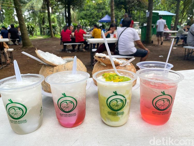 Segarnya Minum Es Kopyor di Tengah Suasana Kebun Asri Bogor