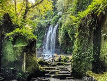 Temesi Waterfall: Wisata Negeri Dongeng yang Asri di Gianyar
