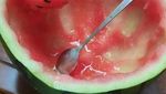 10 Tampilan Makanan yang Disebut Buruk Rupa Tapi Berakhir Viral!