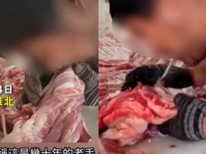 5 Aksi Penjual Makanan yang Bikin Pembeli Mual dan Jijik