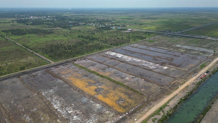 Cetak Sawah