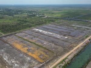Ombudsman Dukung Cetak Sawah Bangun Irigasi untuk Genjot Produksi Padi