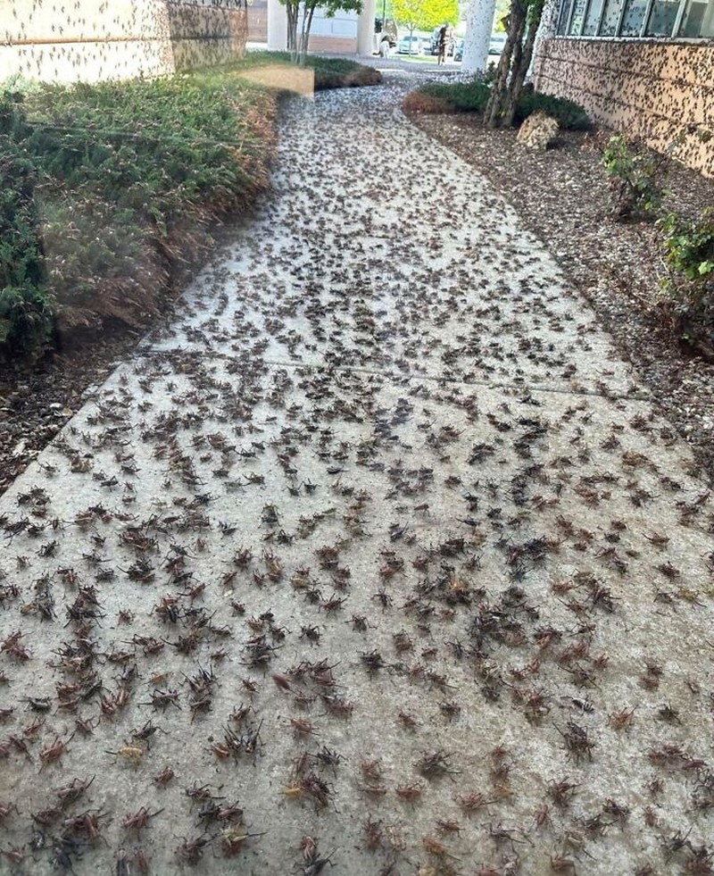 Foto Hal Mengerikan Terjadi di Alam