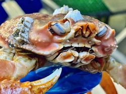 Hal Mengerikan di Alam Terabadikan Kamera