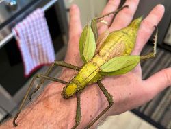 Hal Mengerikan di Alam Terabadikan Kamera