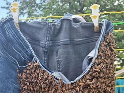 Hal Mengerikan di Alam Terabadikan Kamera