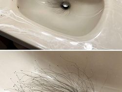 Hal Mengerikan di Alam Terabadikan Kamera