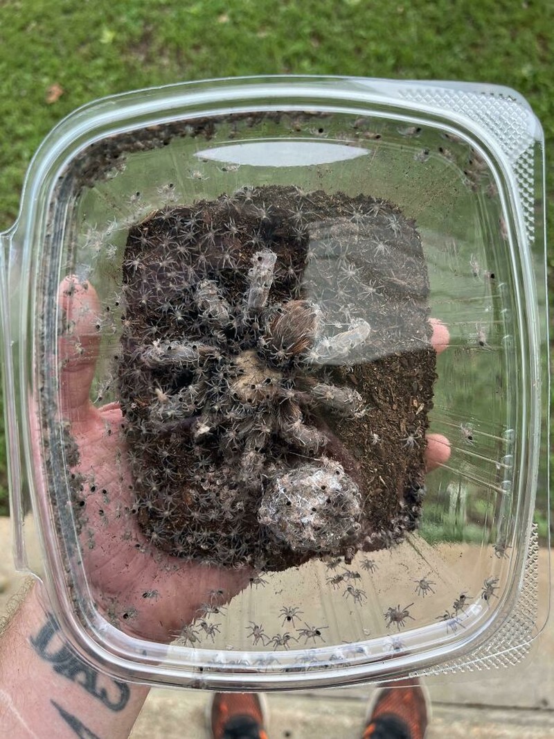 Foto Hal Mengerikan Terjadi di Alam