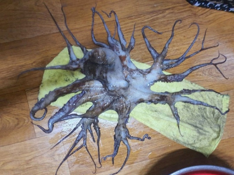 Foto Hal Mengerikan Terjadi di Alam