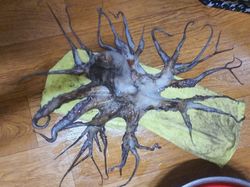 Hal Mengerikan di Alam Terabadikan Kamera