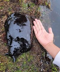 Hal Mengerikan di Alam Terabadikan Kamera Hal Mengerikan di Alam Terabadikan Kamera