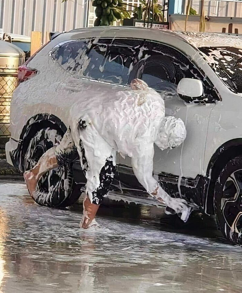 Foto-foto ini absurd sih, tapi lucu. Semoga setelah melihat kumpulan foto random berikut, kamu bisa lebih semangat lagi ya, detikers.