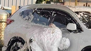 Just doing my job. I love my job. Foto: Facebook/I Dont Know. Im Just Sharing (IDKIJS)