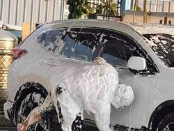 Kumpulan Foto Random Bikin Nyengir, Absurd Banget