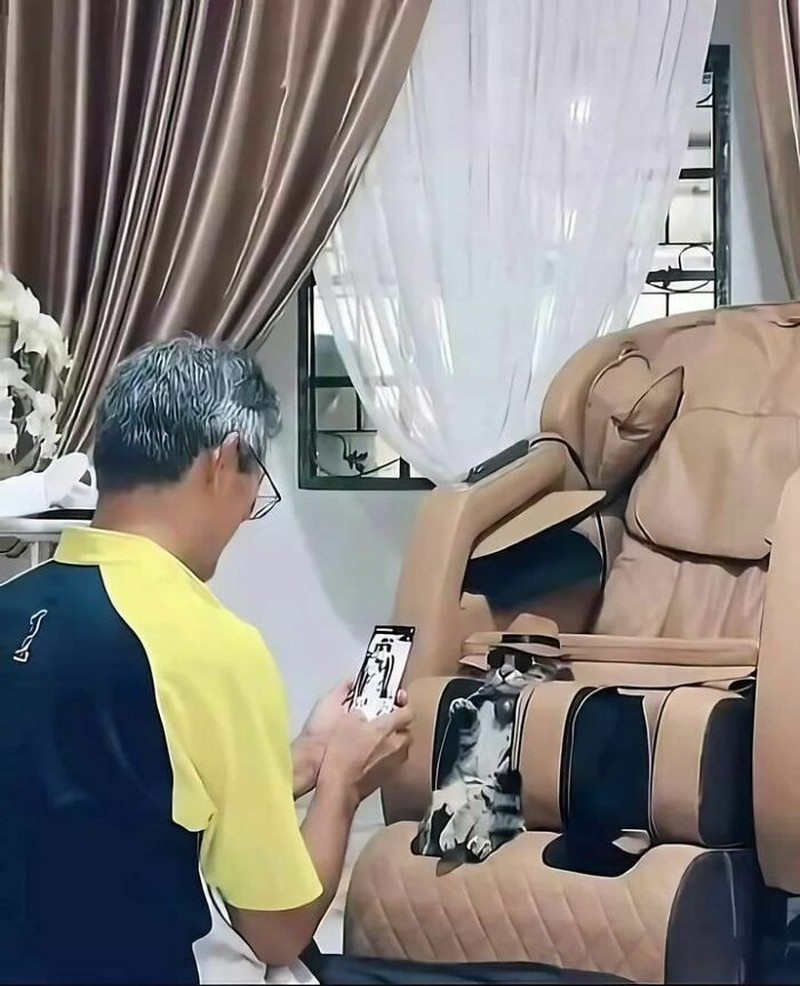 Foto-foto ini absurd sih, tapi lucu. Semoga setelah melihat kumpulan foto random berikut, kamu bisa lebih semangat lagi ya, detikers.