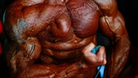 Tubuh-tubuh kekar ini siap beraksi untuk merebut juara.