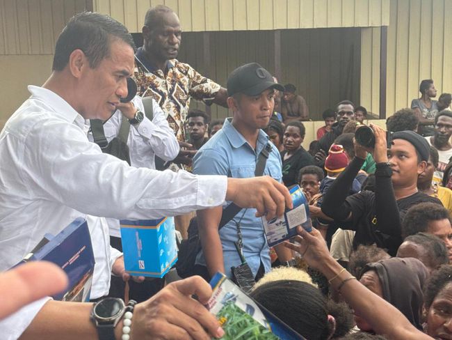 Mentan Amran bagikan bibit tanaman di Merauke, Papua